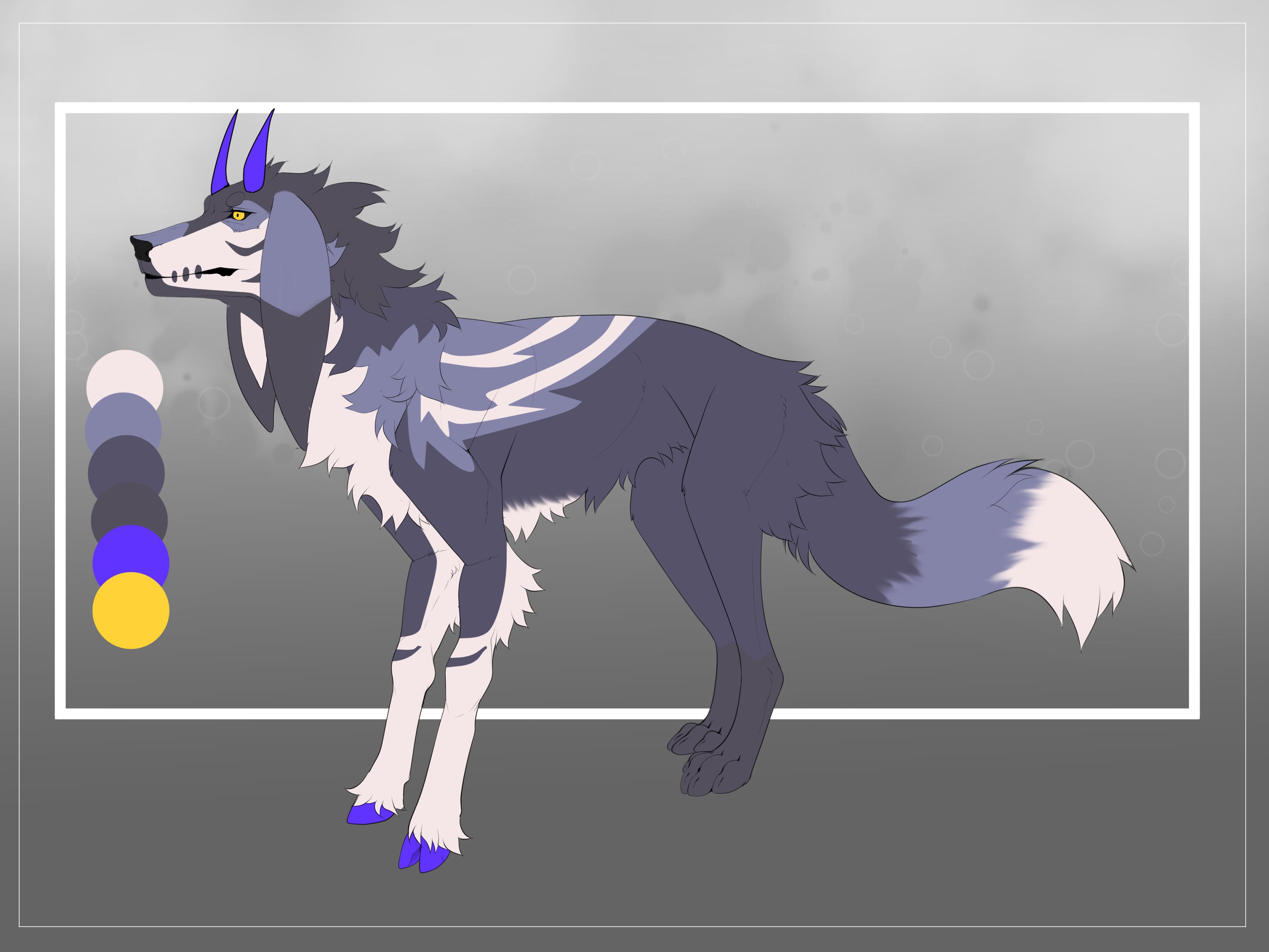 MYOLy-269: Normal Buck MYO