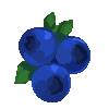 Cool Blueberries