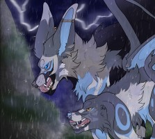 Submission thumbnail
